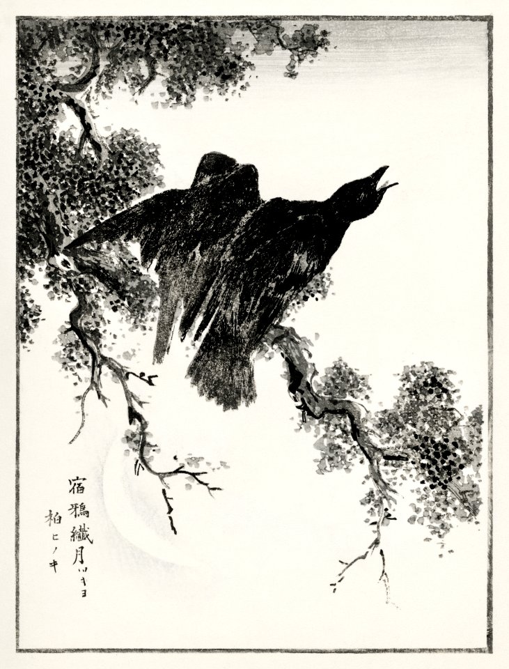 Eastern Rook and Cypress on New Moon illustration from Pictorial Monograph of Birds (1885) by Numata Kashu (1838-1901). Digitally enhanced from our own original edition.