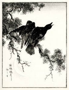 Eastern Rook and Cypress on New Moon illustration from Pictorial Monograph of Birds (1885) by Numata Kashu (1838-1901). Digitally enhanced from our own original edition.. Free illustration for personal and commercial use.