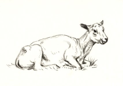 Lying shaved sheep by Jean Bernard (1775-1883).. Free illustration for personal and commercial use.
