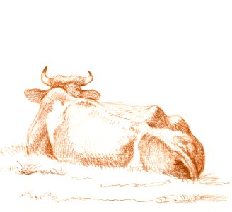 Lying cow, seen from behind (1815) by Jean Bernard (1775-1883).. Free illustration for personal and commercial use.