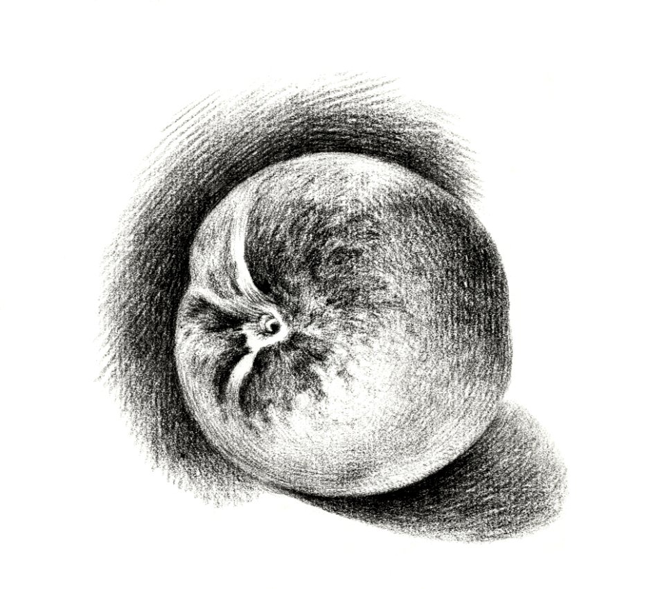 Apple (1812) by Jean Bernard (1775-1883).