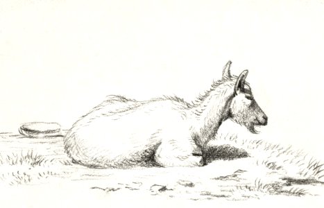 Lying goat (1816) by Jean Bernard (1775-1883).. Free illustration for personal and commercial use.