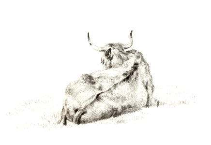 Lying cow (1815) by Jean Bernard (1775-1883).. Free illustration for personal and commercial use.