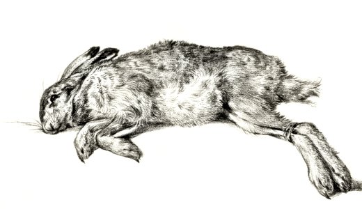 Dead hare (1818) by Jean Bernard (1775-1883).. Free illustration for personal and commercial use.