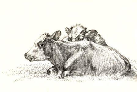 Two lying cows (1826) by Jean Bernard (1775-1883).. Free illustration for personal and commercial use.