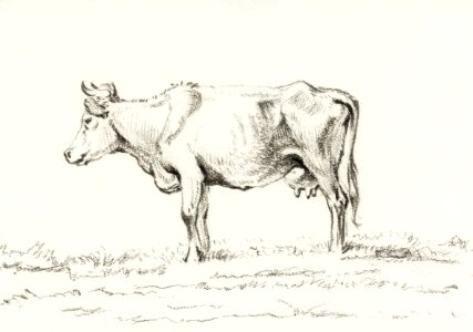 Standing cow by Jean Bernard (1775-1883).. Free illustration for personal and commercial use.