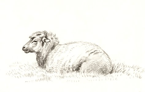 Lying sheep (1816) by Jean Bernard (1775-1883).. Free illustration for personal and commercial use.