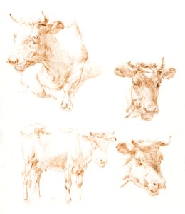 Four cows (1792 - 1810) by Jean Bernard (1775-1883).. Free illustration for personal and commercial use.
