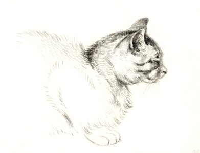 Sketch of a cat (1812) by Jean Bernard (1775-1883).. Free illustration for personal and commercial use.
