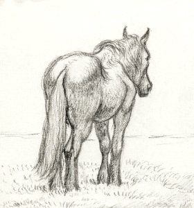 Standing horse by Jean Bernard (1775-1883).