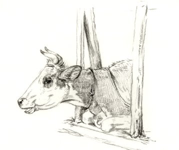Head of a cow, lying in a stable (1826) by Jean Bernard (1775-1883).. Free illustration for personal and commercial use.