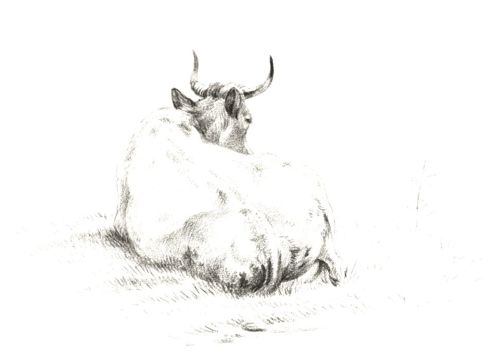 Lying cow (1821) by Jean Bernard (1775-1883).