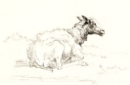 Lying sheep by Jean Bernard (1775-1883).. Free illustration for personal and commercial use.