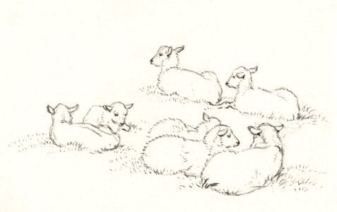 Six lying lambs (1820) by Jean Bernard (1775-1883).. Free illustration for personal and commercial use.