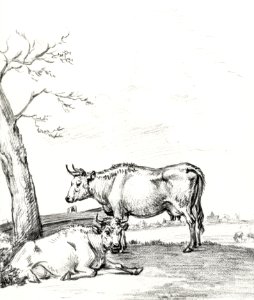 Standing and lying cow by Jean Bernard (1775-1883).. Free illustration for personal and commercial use.