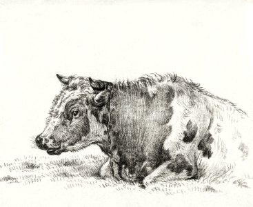 Lying cow (1828) by Jean Bernard (1775-1883).. Free illustration for personal and commercial use.