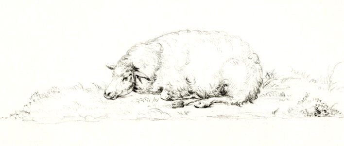 Lying sheep by Jean Bernard (1775-1883).. Free illustration for personal and commercial use.