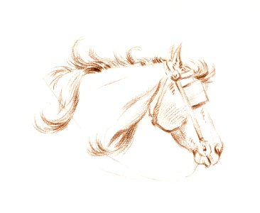 Head of a horse with blinkers by Jean Bernard (1775-1883).. Free illustration for personal and commercial use.