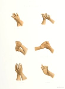 Hand Signs of the Gayatri from The Sundhya or the Daily Prayers of the Brahmins (1851) by Sophie Charlotte Belnos (1795–1865).. Free illustration for personal and commercial use.