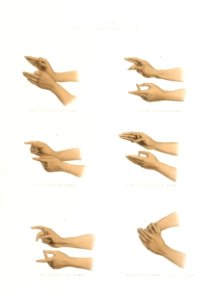 Hand Signs from The Sundhya or the Daily Prayers of the Brahmins (1851) by Sophie Charlotte Belnos (1795–1865).. Free illustration for personal and commercial use.