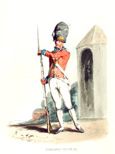 Illustration of Grenadier of the 1st Regiment of Guards from Picturesque Representations of the Dress and Manners of the English(1814) by William Alexander (1767-1816).. Free illustration for personal and commercial use.