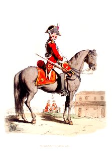 Illustration of the private of Life Guards from Picturesque Representations of the Dress and Manners of the English(1814) by William Alexander (1767-1816).. Free illustration for personal and commercial use.