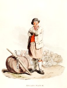 Illustration of a drayman from Picturesque Representations of the Dress and Manners of the English(1814) by William Alexander (1767-1816).
