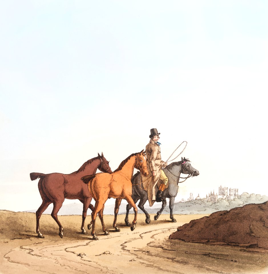 Illustration of the horse dealer from The Costume of Yorkshire (1814) by George Walker (1781-1856).