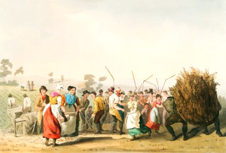 Illustration of rape threshing from The Costume of Yorkshire (1814) by George Walker (1781-1856).