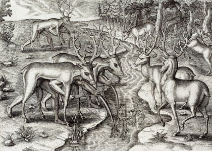 Deer hunting illustration from Grand voyages (1596) by Theodor de Bry (1528-1598).. Free illustration for personal and commercial use.