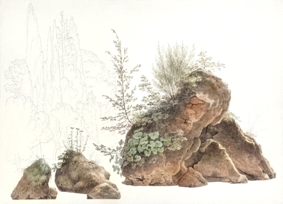 Overgrown Rocks (ca. 1809–1812) by Joseph August Knip.