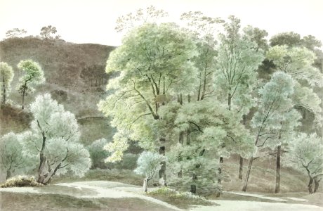 Bomen in de omgeving van Subiaco (trees in the Subiaco area) by Joseph August Knip (1777–1847).​​​​​. Free illustration for personal and commercial use.
