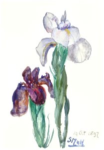 Irises (1897) by Sientje Mesdag-van Houten.. Free illustration for personal and commercial use.