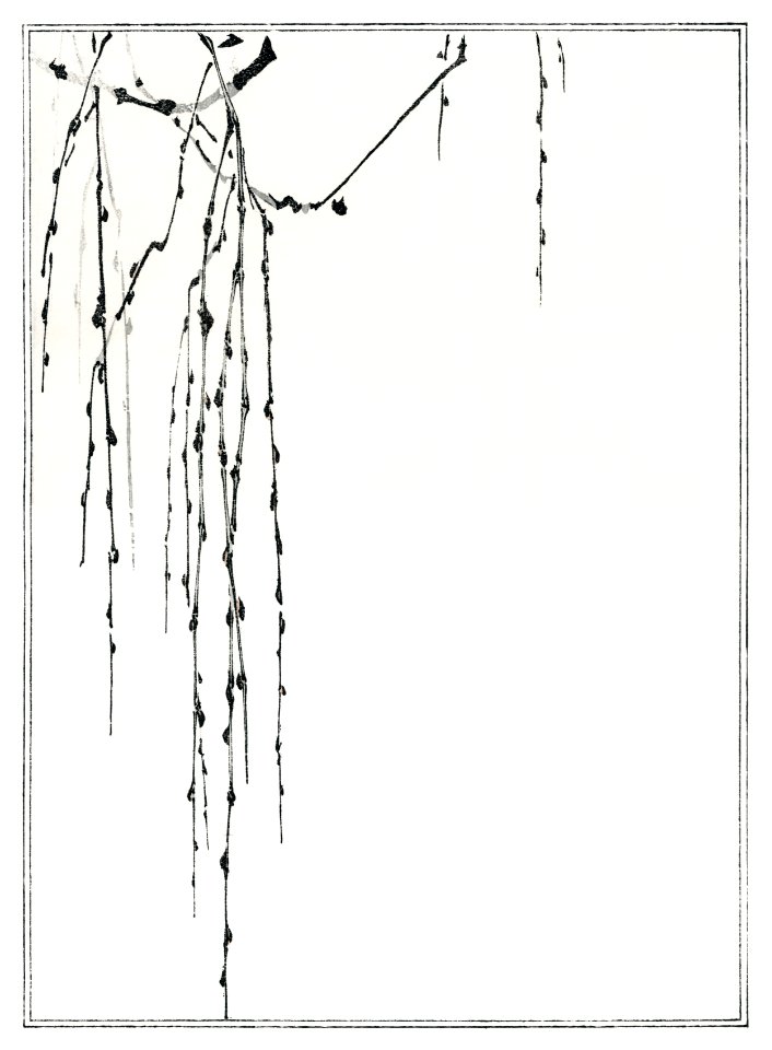 Tree branches. Illustration from Seitei Kacho Gafu (1890–1891) by Wantanabe Seitei, a prominent Kacho-ga artist. Digitally enhanced from our own original edition.