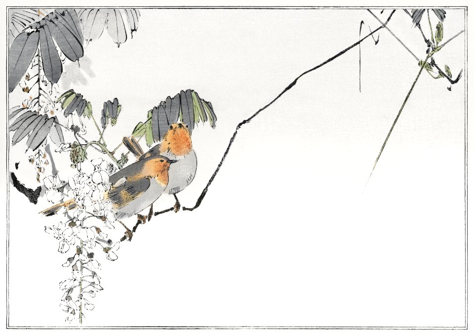 Two sparrows perched on a branch. Illustration from Seitei Kacho Gafu (1890–1891) by Wantanabe Seitei, a prominent Kacho-ga artist. Digitally enhanced from our own original edition.