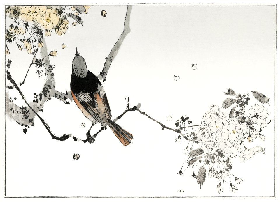 Perched Japanese swallow. Illustration from Seitei Kacho Gafu (1890–1891) by Wantanabe Seitei, a prominent Kacho-ga artist. Digitally enhanced from our own original edition.