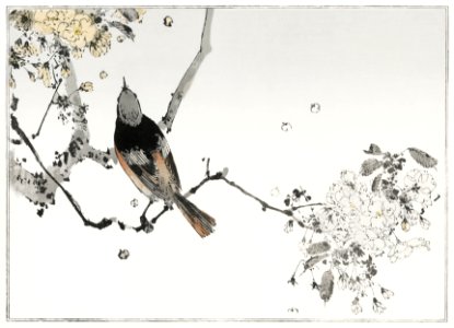 Perched Japanese swallow. Illustration from Seitei Kacho Gafu (1890–1891) by Wantanabe Seitei, a prominent Kacho-ga artist. Digitally enhanced from our own original edition.. Free illustration for personal and commercial use.