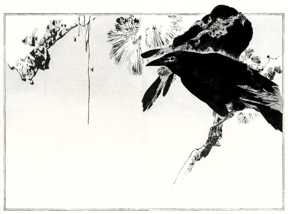 Japanese crows perched on a branch. Illustration from Seitei Kacho Gafu (1890–1891) by Wantanabe Seitei, a prominent Kacho-ga artist. Digitally enhanced from our own original edition.