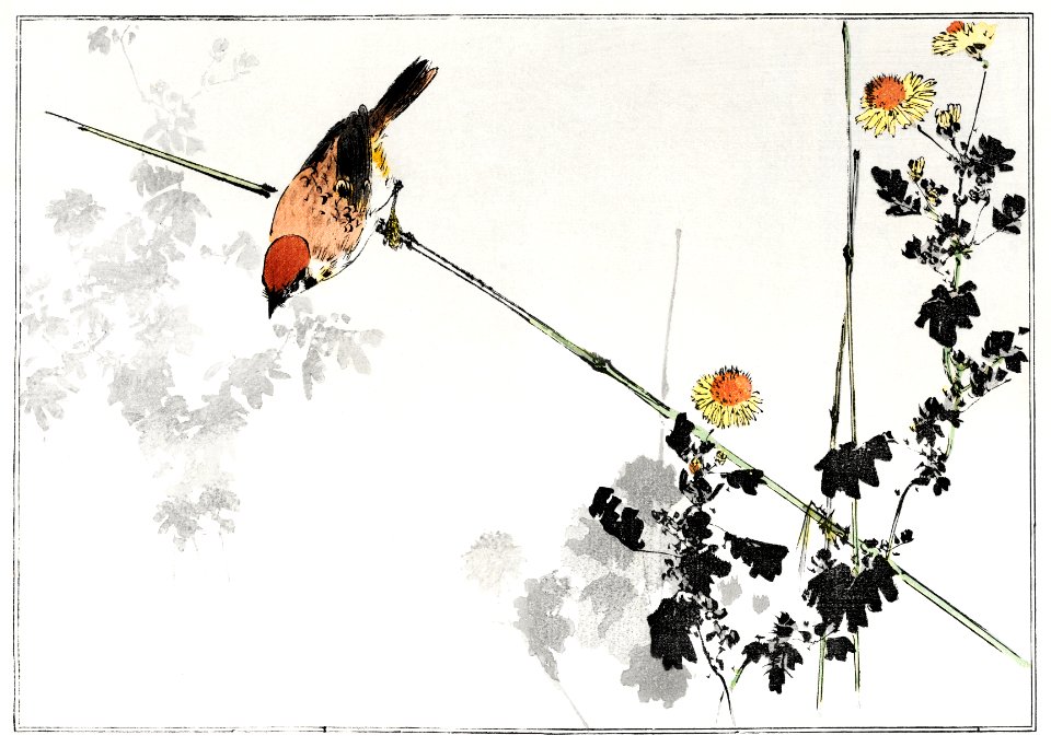 Japanese swallow bird, illustration from Seitei Kacho Gafu (1890–1891) by Wantanabe Seitei, a prominent Kacho-ga artist. Digitally enhanced from our own original edition.