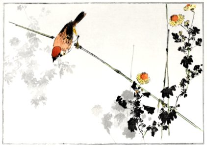 Japanese swallow bird, illustration from Seitei Kacho Gafu (1890–1891) by Wantanabe Seitei, a prominent Kacho-ga artist. Digitally enhanced from our own original edition.. Free illustration for personal and commercial use.