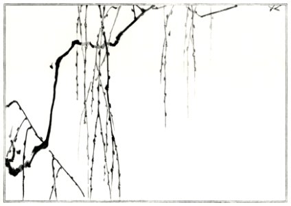 Tree branches. Illustration from Seitei Kacho Gafu (1890–1891) by Wantanabe Seitei, a prominent Kacho-ga artist. Digitally enhanced from our own original edition.. Free illustration for personal and commercial use.