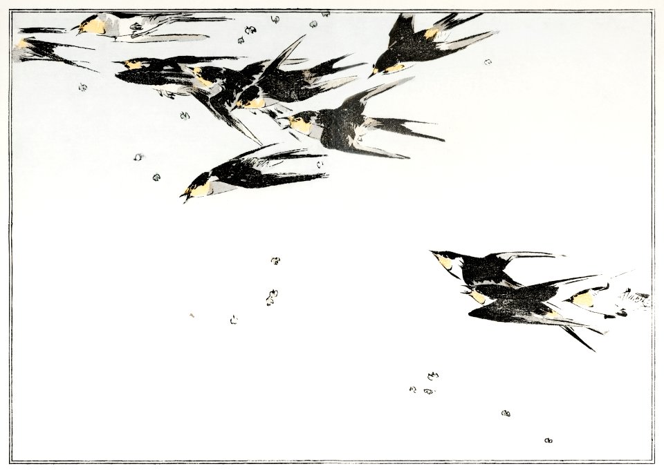 Flying magpies, illustration from Seitei Kacho Gafu (1890–1891) by Wantanabe Seitei, a prominent Kacho-ga artist. Digitally enhanced from our own original edition.