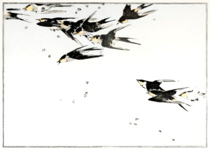 Flying magpies, illustration from Seitei Kacho Gafu (1890–1891) by Wantanabe Seitei, a prominent Kacho-ga artist. Digitally enhanced from our own original edition.. Free illustration for personal and commercial use.