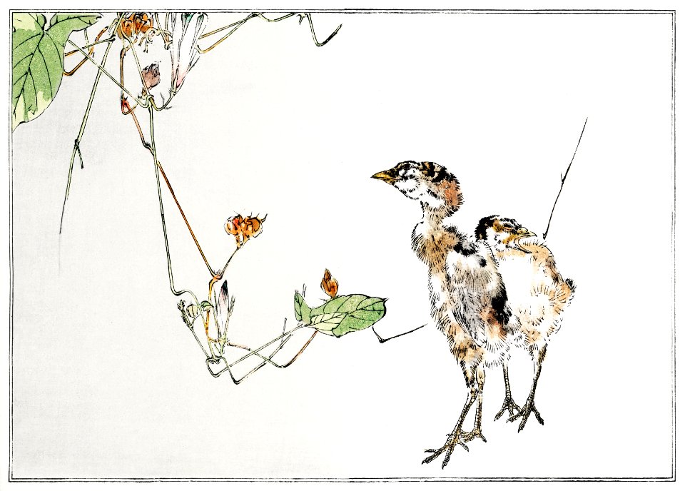 Wild ducklings illustration from Seitei Kacho Gafu (1890–1891) by Wantanabe Seitei, a prominent Kacho-ga artist. Digitally enhanced from our own original edition.