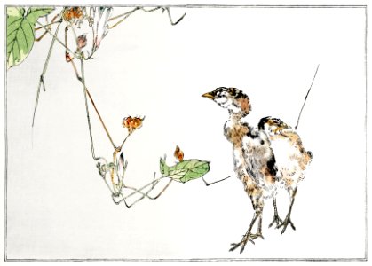 Wild ducklings illustration from Seitei Kacho Gafu (1890–1891) by Wantanabe Seitei, a prominent Kacho-ga artist. Digitally enhanced from our own original edition.