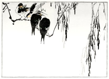 Perched magpies. Illustration from Seitei Kacho Gafu (1890–1891) by Wantanabe Seitei, a prominent Kacho-ga artist. Digitally enhanced from our own original edition.. Free illustration for personal and commercial use.