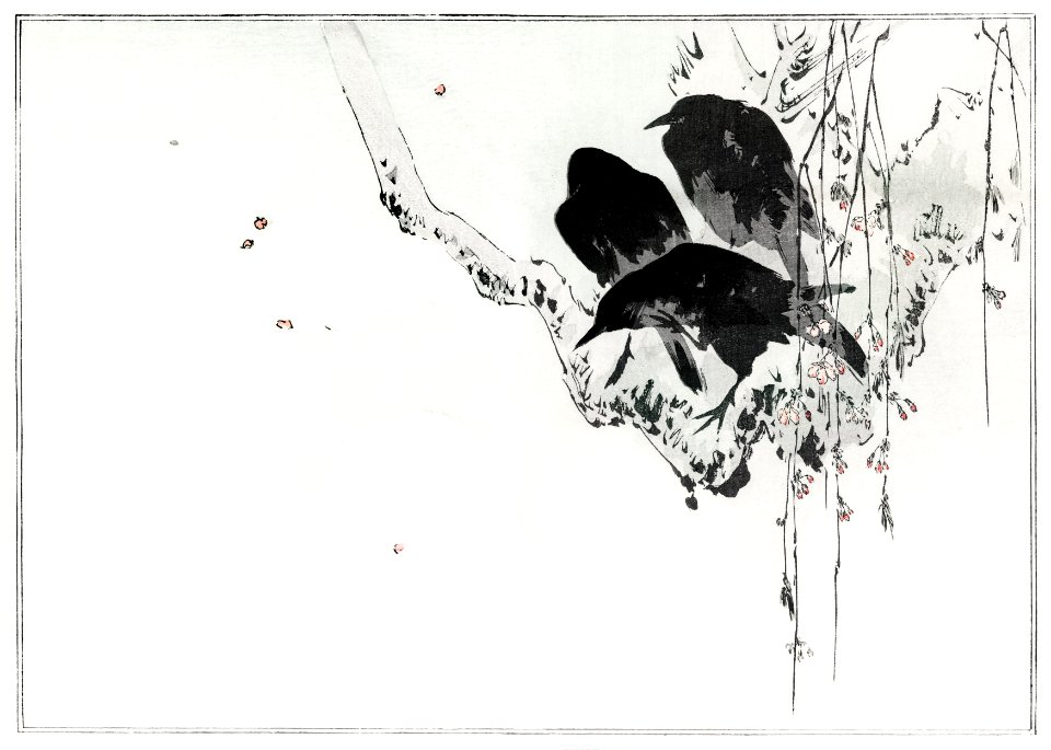 Japanese crows perched on a branch. Illustration from Seitei Kacho Gafu (1890–1891) by Wantanabe Seitei, a prominent Kacho-ga artist. Digitally enhanced from our own original edition.