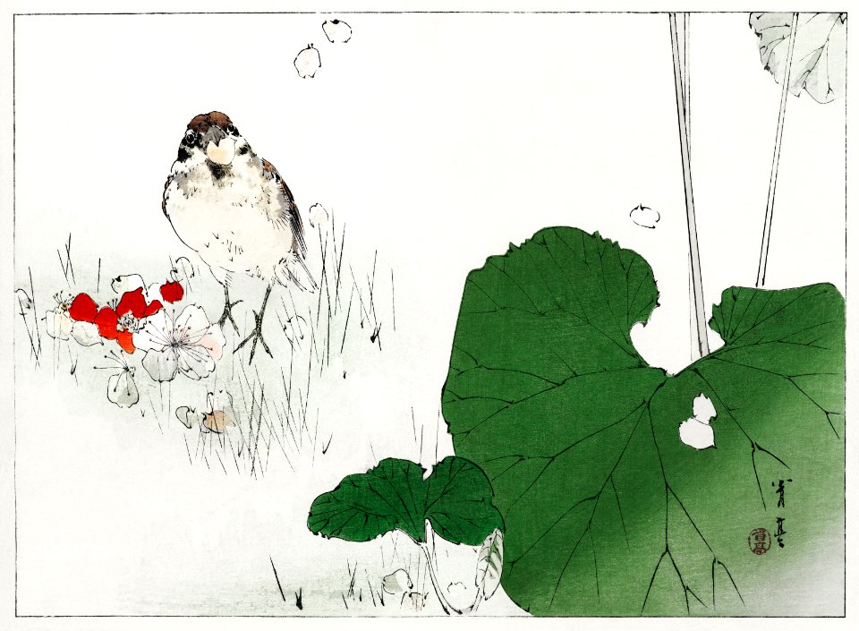 Eurasian tree sparrow illustration from Bijutsu Sekai (1893-1896) by Watanabe Seitei, a prominent Kacho-ga artist. Digitally enhanced from our own original publication.