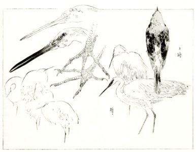 Little egret and Daurian redstart. Illustration from Bijutsu Sekai (1893-1896) by Watanabe Seitei, a prominent Kacho-ga artist. Digitally enhanced from our own original publication.. Free illustration for personal and commercial use.