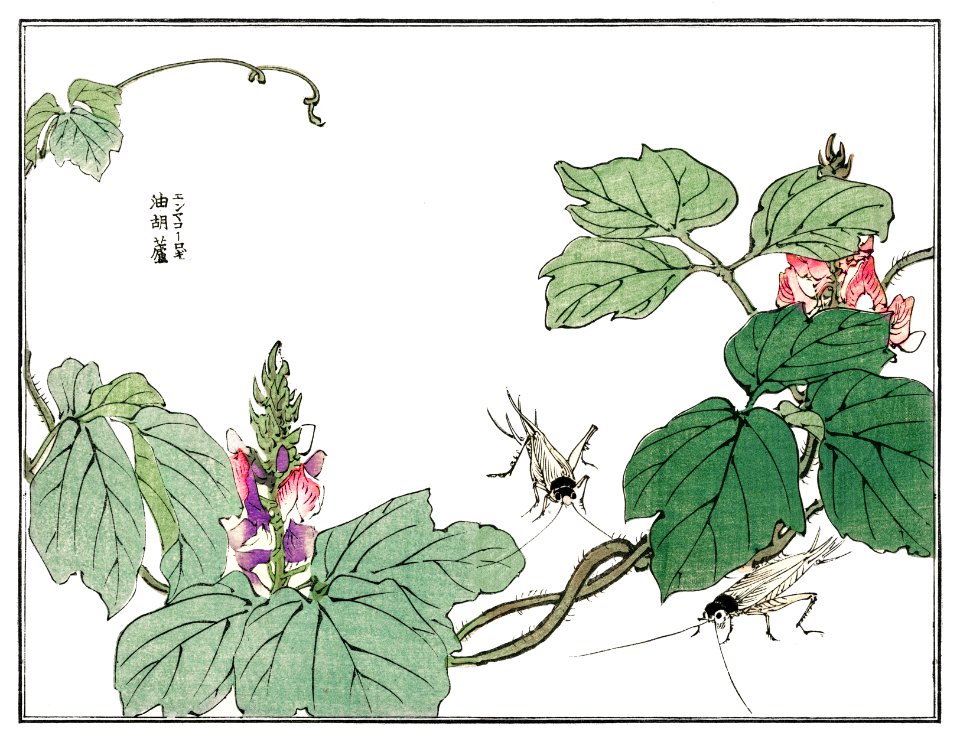 Leaf and flower illustration from Churui Gafu (1910) by Morimoto Toko. Digitally enhanced from our own original edition.